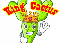 King Cactus Spelling Game